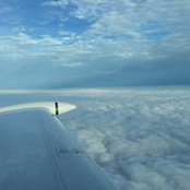 Michael Nichols's photo