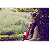 Khanh Thi's photo