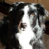 Anne Miller's photo