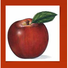 Apple Painting Co.