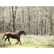 Tessa Fleischli's photo