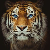 Darrell Clark's photo