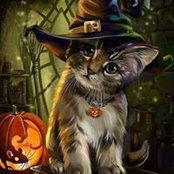 Paula Draskovic's photo