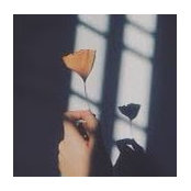 Foto de Valentine Xiong