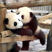Foto de Sam Nang
