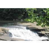 Rebecca Gamble's photo