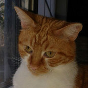 Laura Cberry's photo