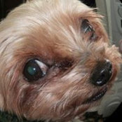 Gabriella Royko's photo