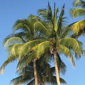 Carla Davie's photo
