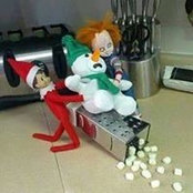 Sharon Oakey's photo