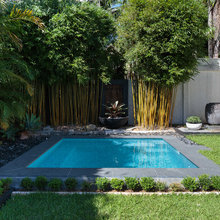 611 backyard