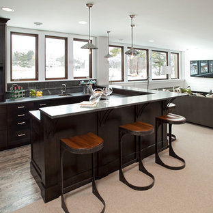 Design ideas for a medium sized classic look-out basement in Minneapolis with white walls, carpet, a standard fireplace, a metal fireplace surround and beige floors.