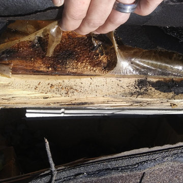 Roof and awning repair