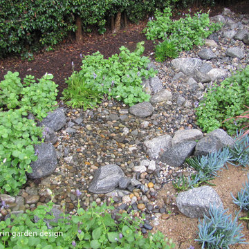 RAIN GARDEN