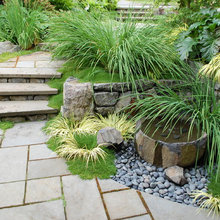 Grasses & Walkways