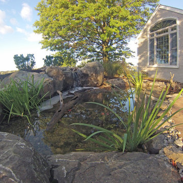 Pond Reconstruction & Remodel