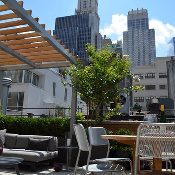 Financial District Penthouse