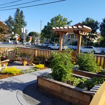 Planter Boxes & Vegetable Gardens