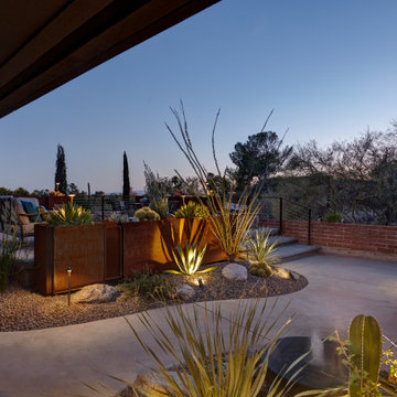 Desert Rooftop Garden With a View
