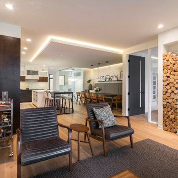 Minneapolis Whole Home Renovation