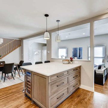 KITCHEN RENOVATION-Platt Park Denver