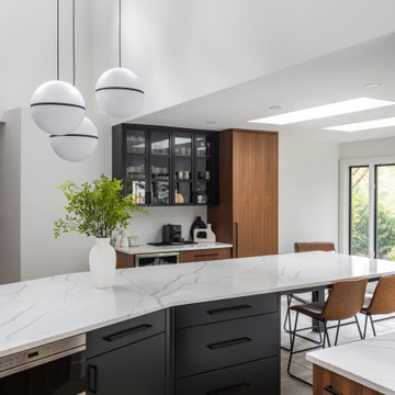 The Contemporary House - Great Falls VA