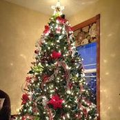 Katie Gregerson's photo