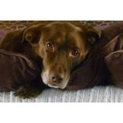 Renee McGinty's photo