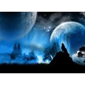 Shawna Ramazzotti's photo