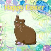 Herbie Cat's photo