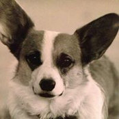 Cathy Lamb's photo