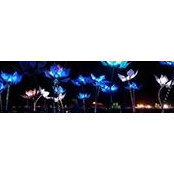 Tami Krebbs's photo