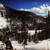 Shawn Fulton's photo