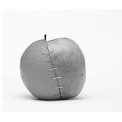 Alessandro Petroni's photo