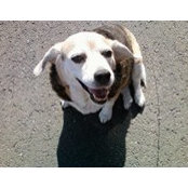 Janice Wegner's photo