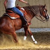 Sabine Uellenberg Neter's photo