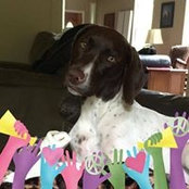 Sonja Griesbach's photo