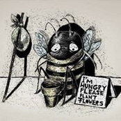 Lisa Engles's photo