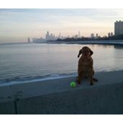 Brett Wieser's photo