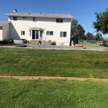 Sprinkle Backyard Landscape
