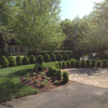 Now That's Curb Appeal!