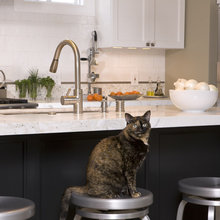 Pets - Nomadic Decorator