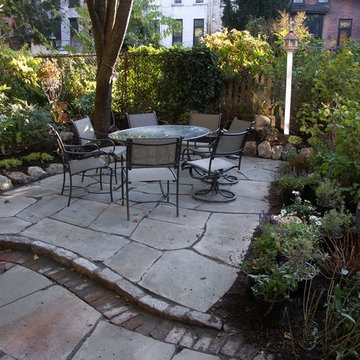 Courtyard patio landscape