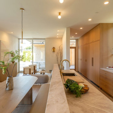 Santa Monica Modern