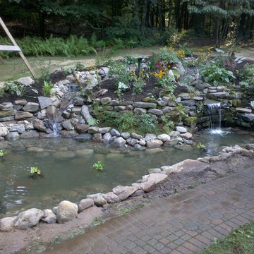 Back Yard Pond - Avon
