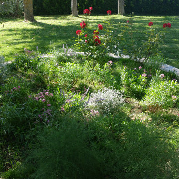 EL JARDÍN SIN RIEGO