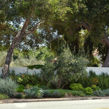 Mediterranean Landscape