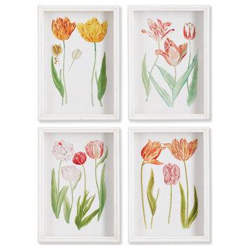 Tulip Prints, Set of 4