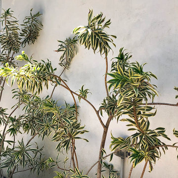 B E A M