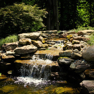 Waterscapes